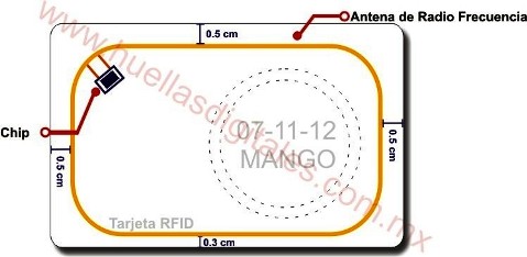 Antena ID